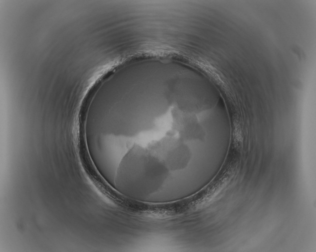 X0000112970630200909101654