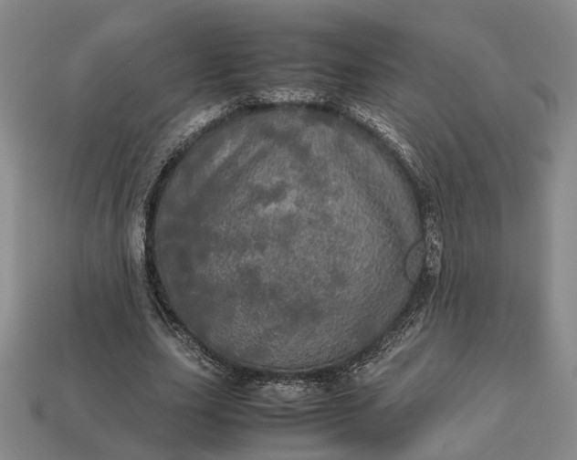 X0000112970631200909101654