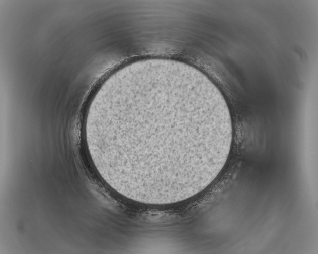 X0000112970632200909101654