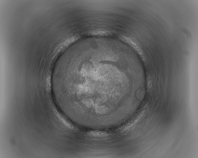 X0000112970633200909101654