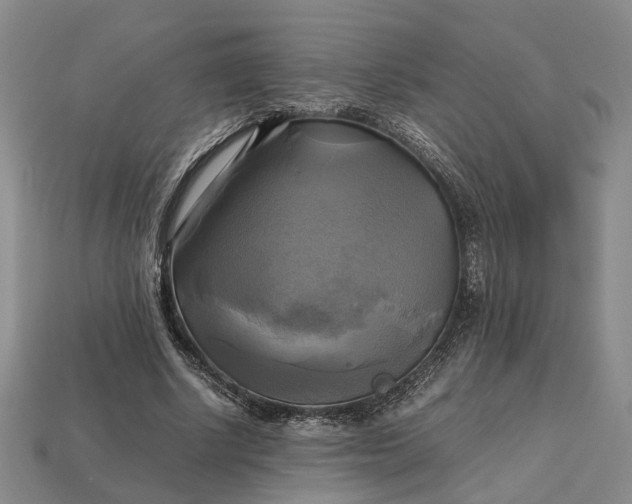 X0000112970634200909101654