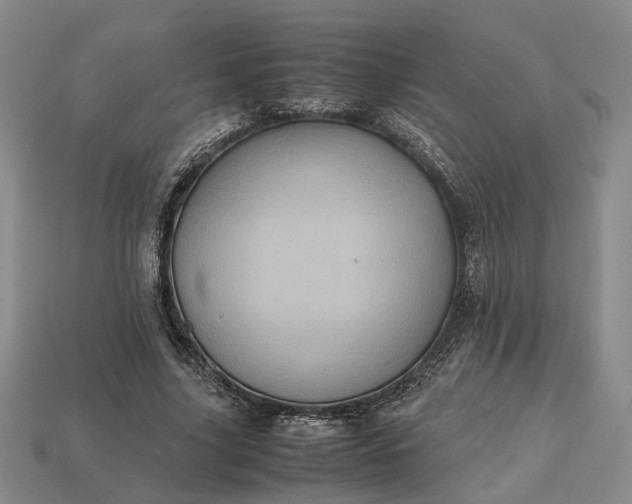 X0000112970635200909101654