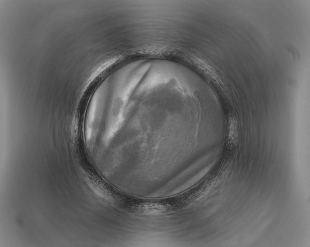 X0000112970636200909101654