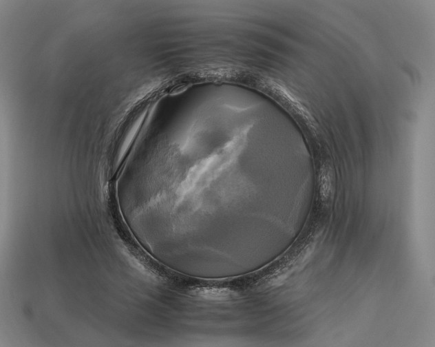 X0000112970637200909101654