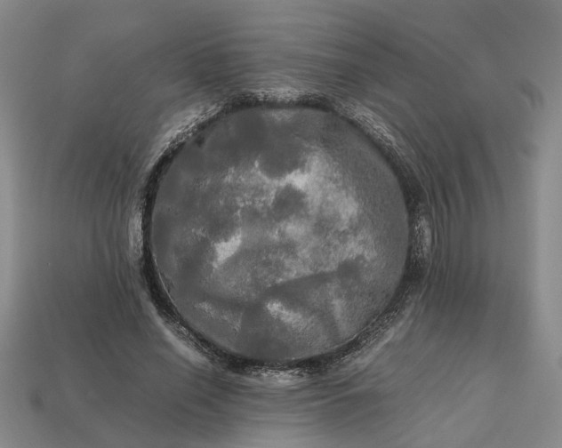 X0000112970638200909101654