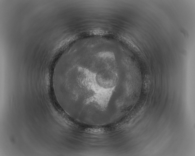 X0000112970639200909101654