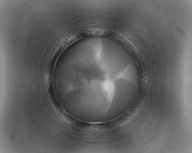 X0000112970641200909101654