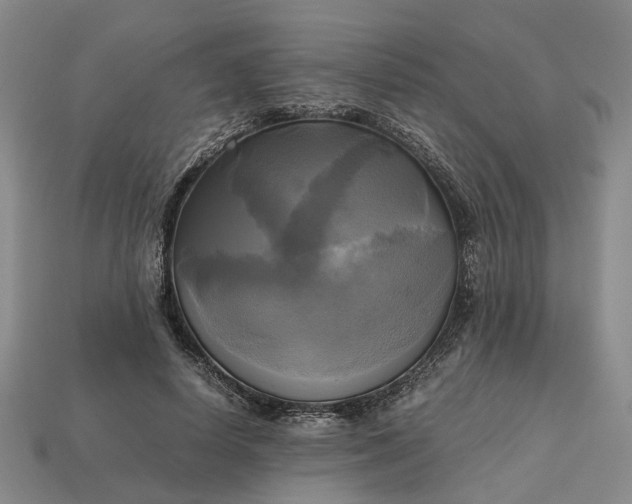 X0000112970642200909101654