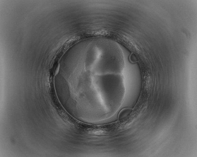 X0000112970643200909101654