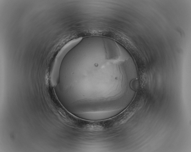 X0000112970644200909101654