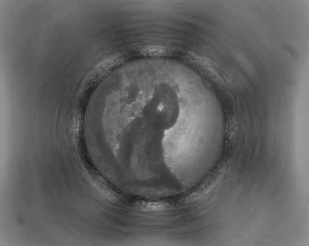 X0000112970645200909101654