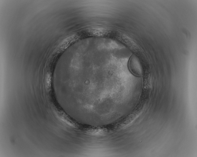 X0000112970646200909101654