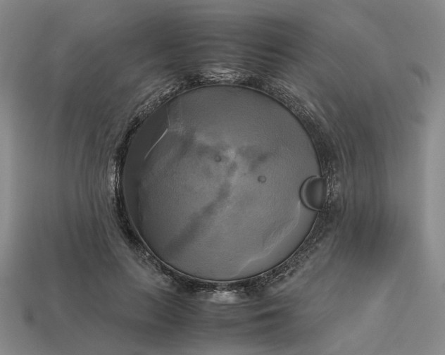 X0000112970647200909101654