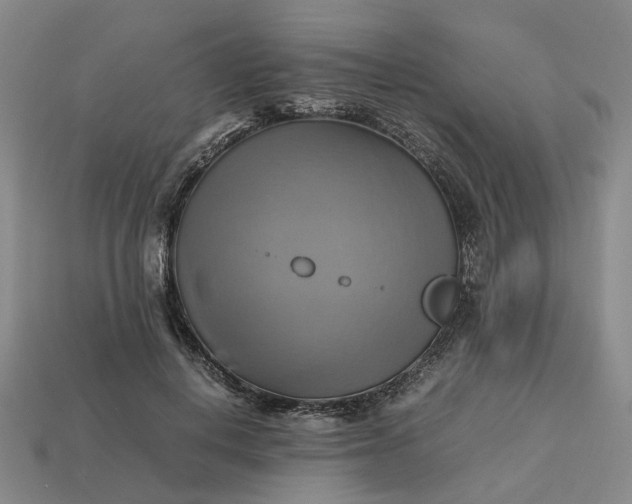 X0000112970648200909101654