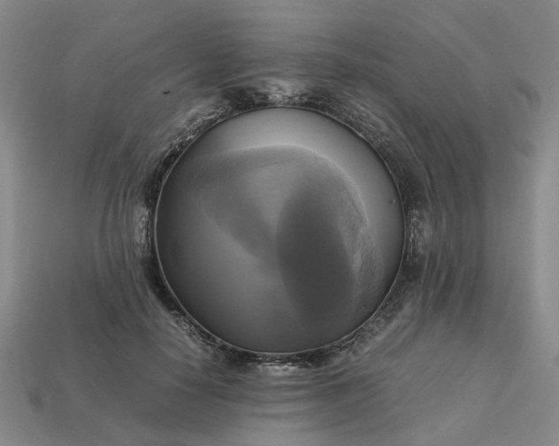 X0000112970650200909101654