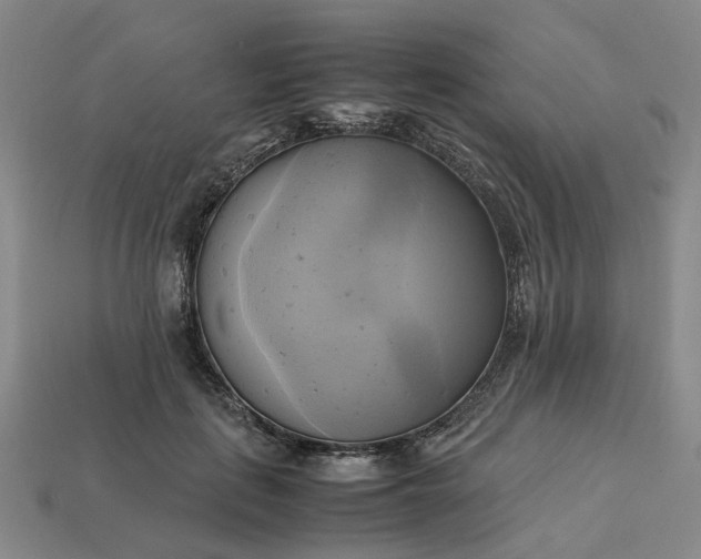 X0000112970651200909101654