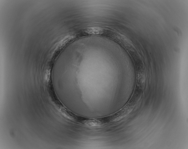 X0000112970652200909101654