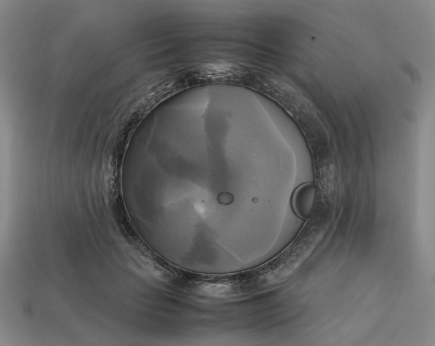 X0000112970653200909101654