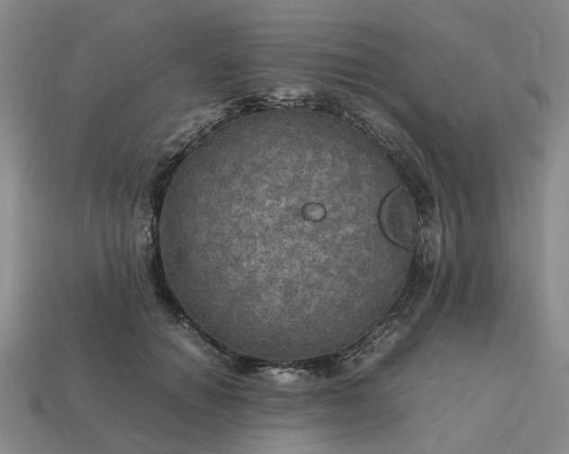 X0000112970654200909101654