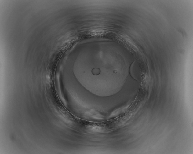 X0000112970655200909101654