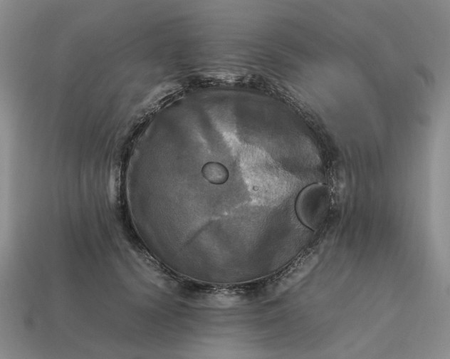 X0000112970656200909101654