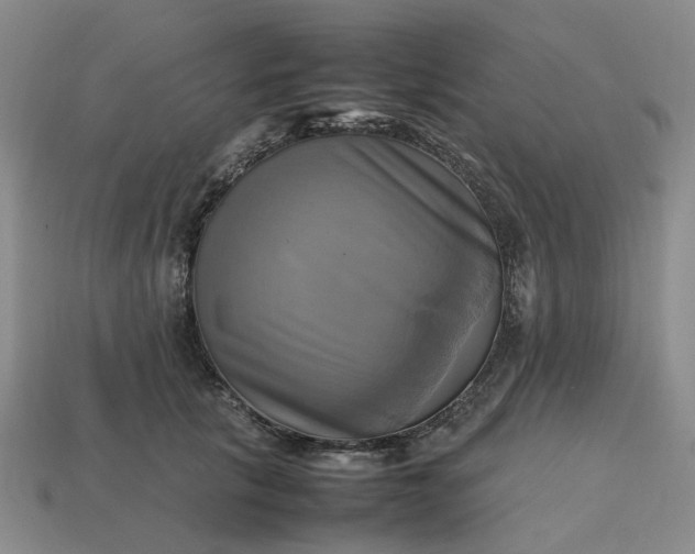 X0000112970657200909101654