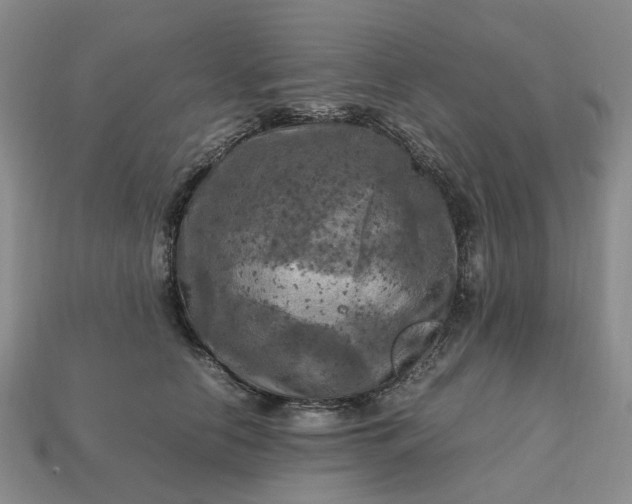 X0000112970658200909101654