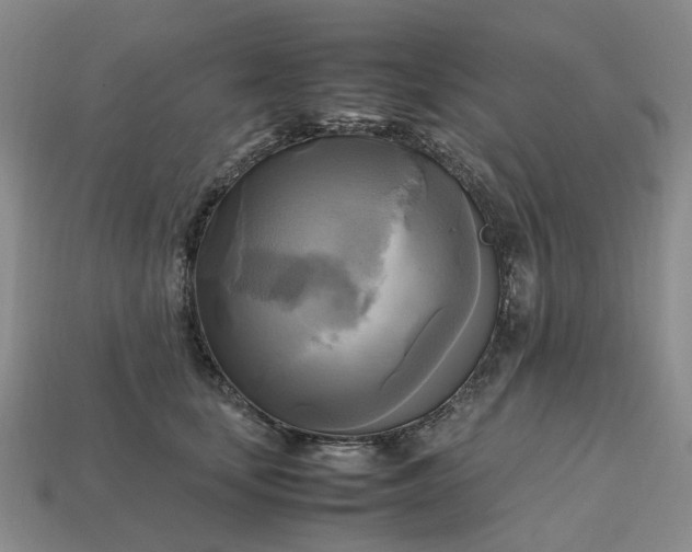 X0000112970659200909101654