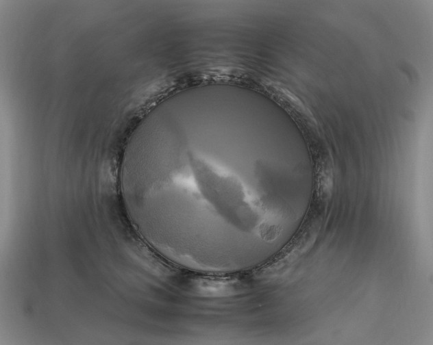 X0000112970661200909101654