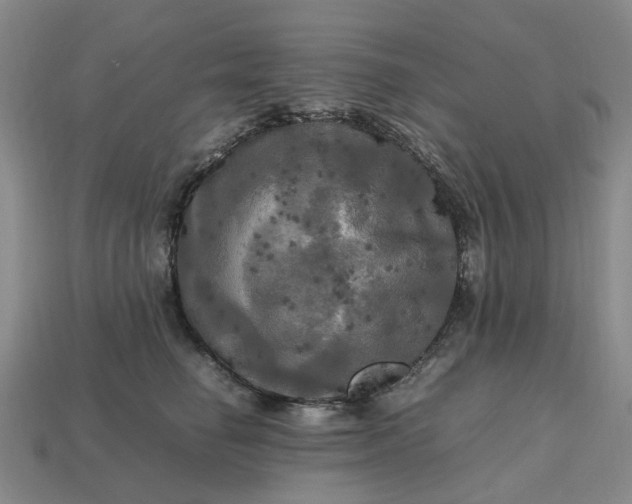 X0000112970662200909101654