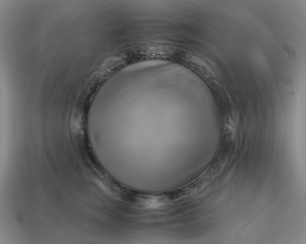 X0000112970663200909101654