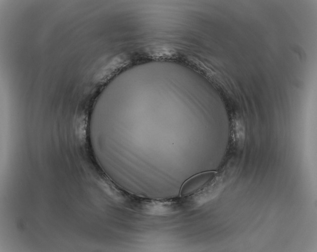 X0000112970664200909101654