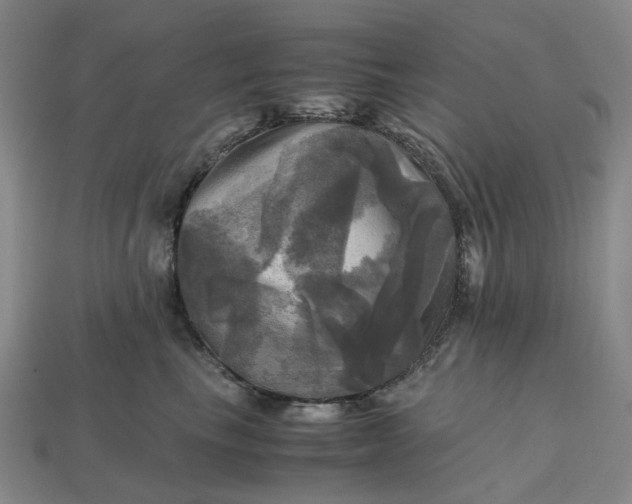 X0000112970665200909101654