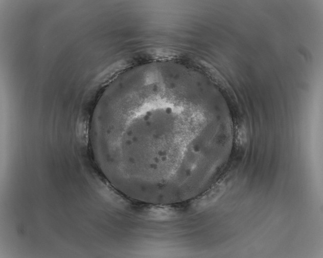 X0000112970666200909101654