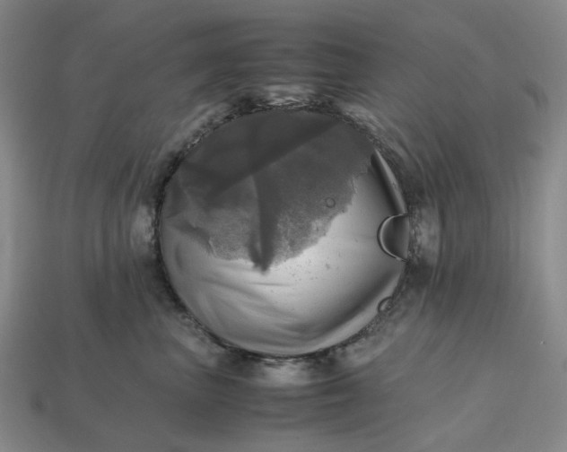 X0000112970667200909101654