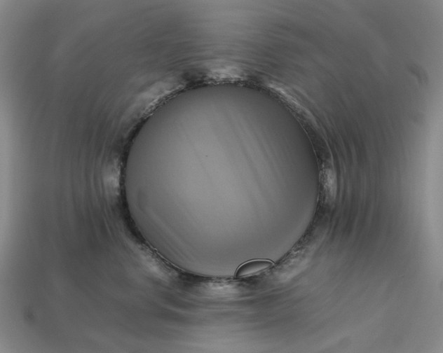 X0000112970668200909101654