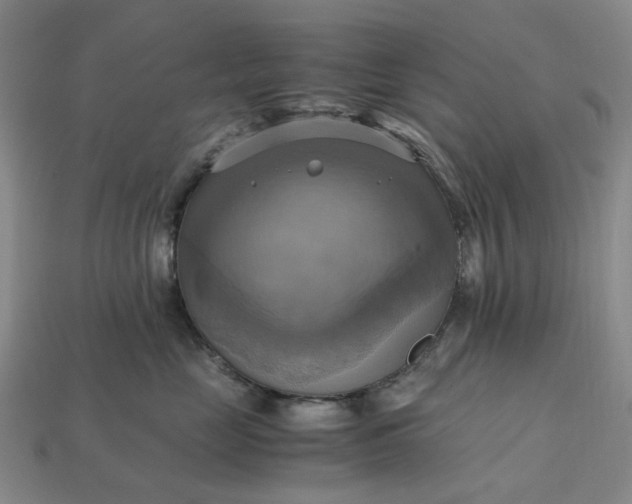 X0000112970669200909101654