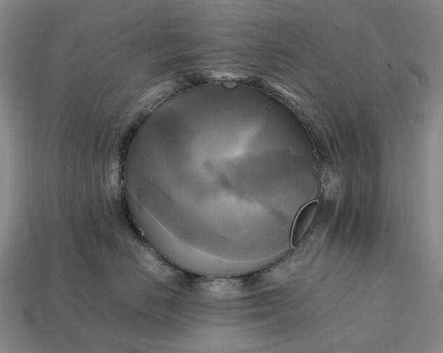 X0000112970670200909101654