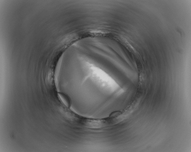 X0000112970671200909101654