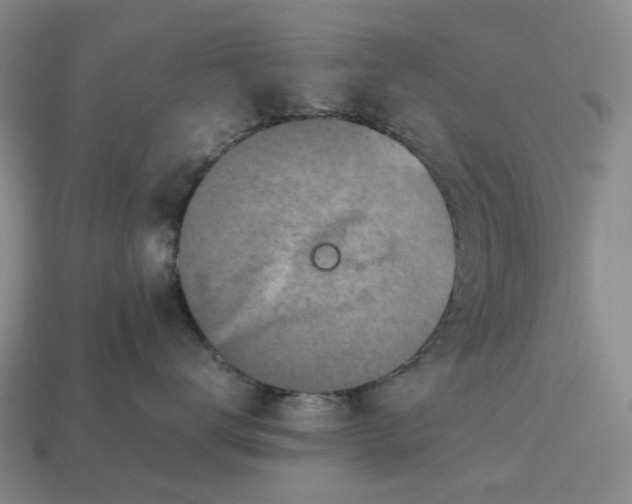 X0000112970672200909101654