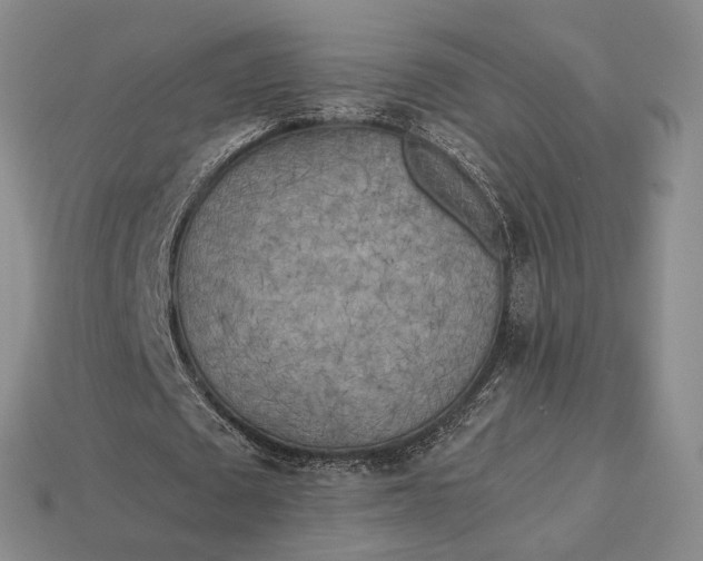 X0000112970673200909101654