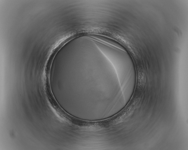 X0000112970674200909101654