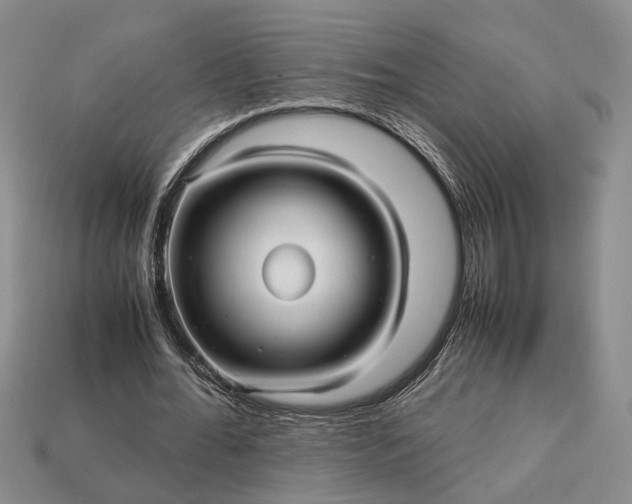 X0000112970676200909101653