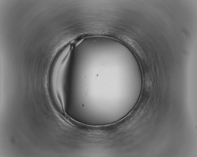 X0000112970677200909101653