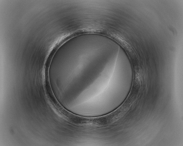 X0000112970678200909101653