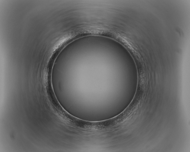 X0000112970679200909101653