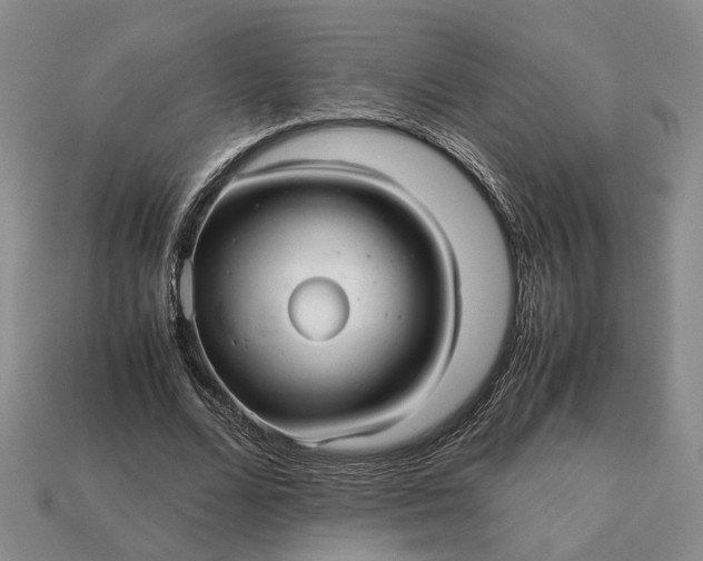 X0000112970680200909101653