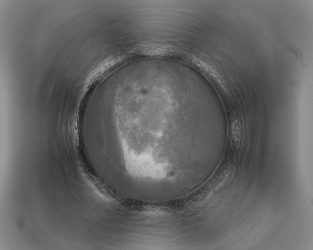 X0000112970682200909101653