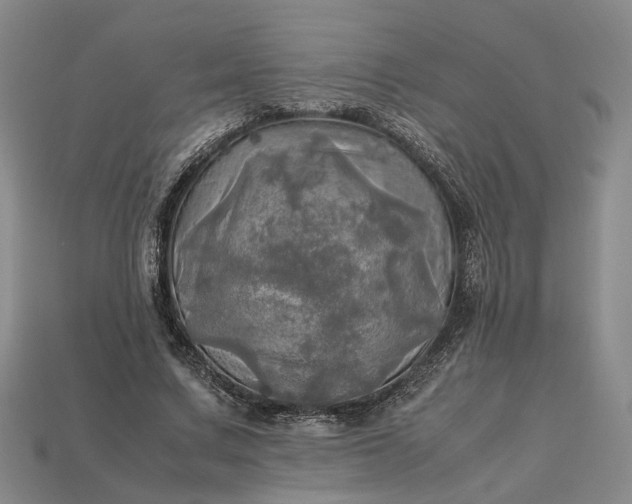 X0000112970683200909101653