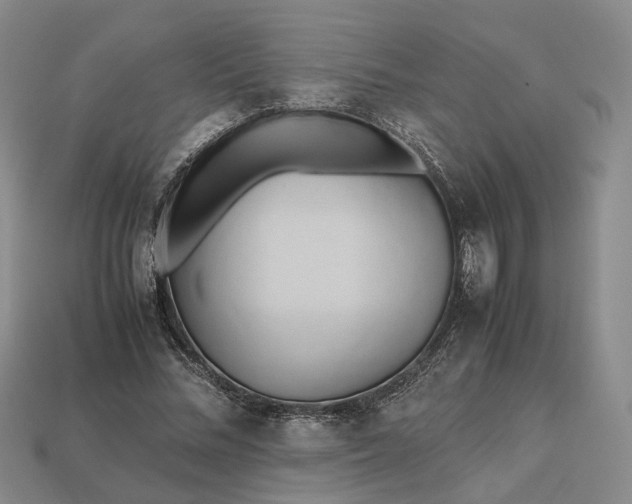 X0000112970684200909101653